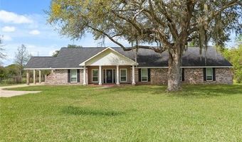 12242 HWY 23, Belle Chasse, LA 70037