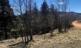 1188 May Queen Dr, Cripple Creek, CO 80813