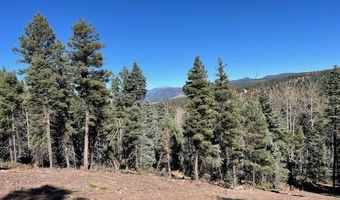 Vail Loop lot 373, Angel Fire, NM 87710
