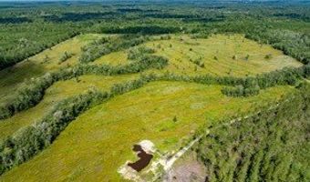 542 Lilla B Gaskins Rd, Alapaha, GA 31622