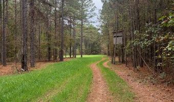 00 Old Plain Dealing Rd, Benton, LA 71006