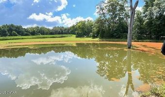 3945 Old Trezevant Rd, Atwood, TN 38220