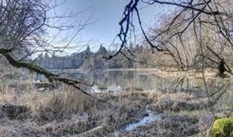 15116 NE GRANTHAM Rd, Amboy, WA 98601