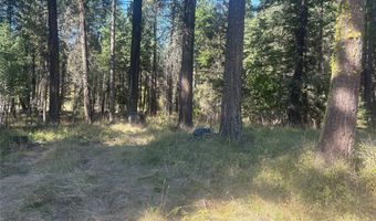554 Swan Hill Dr, Bigfork, MT 59911