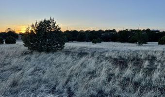 317 Forest Line Cir, Ash Fork, AZ 86320