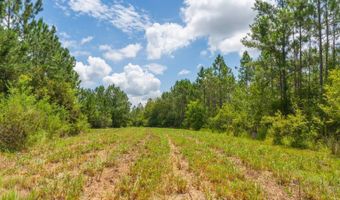 Val Del Road, Adel, GA 31620