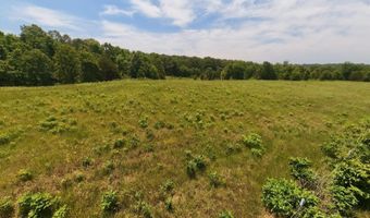 County Road 113, Alton, MO 65606