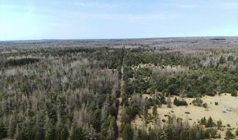 5280 Cathro Rd, Alpena, MI 49707