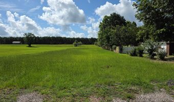 840 County Road 33, Ashford, AL 36312