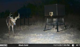 4000 E 110 Rd, Alva, OK 73717