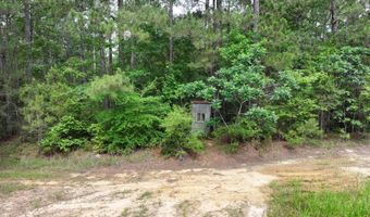 Low Water LN SW, Brookhaven, MS 39601