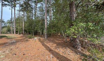 Lot 3 OCEANVIEW COURT, Accomac, VA 23301