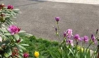 2146 S OAKLAND St S, Arlington, VA 22204