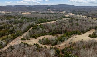 Smithtown Road, Afton, TN 37616