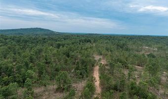 Tract 3 Hidden Valley, Annapolis, MO 63628