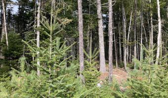 Lot 5 Bluff Road, Bar Harbor, ME 04609