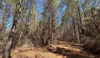 3 County Road 5112, Ethel, MS 38829