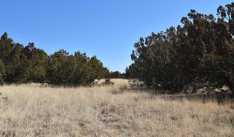 Tbd Stanford Road, Concho, AZ 85924
