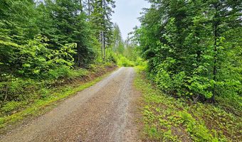 1895 TBD BLUE CREEK ROAD Rd, Addy, WA 99101