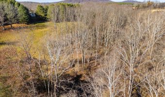 148 VIEWTOWN, Amissville, VA 20106