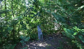 206 Pinckney St, Abbeville, SC 29620