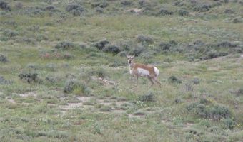 NHN Brushland Drive, Clark, WY 82435
