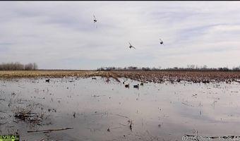 3300 Sheppard Island Rd, Altheimer, AR 72004