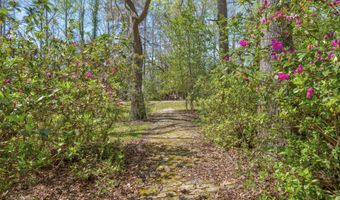 841 Googe St, Allendale, SC 29810