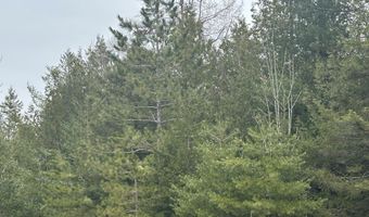 4200 Bloom Rd, Alpena, MI 49707