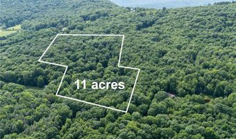 253 Davis Hollow Rd, Andes, NY 13731