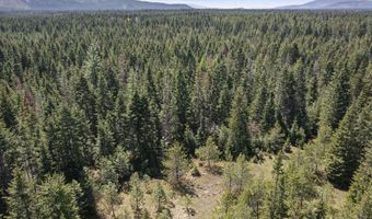 Nna Grizzly Meadows Ct Lt 5, Athol, ID 83801