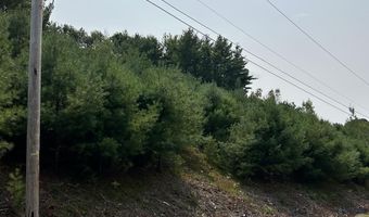 36 Grimstone Dr, Belmont, NH 03220