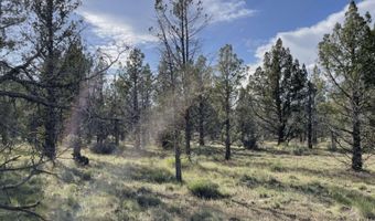 Hilltop Lane, Alturas, CA 96101