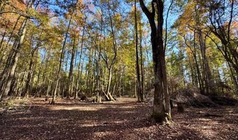 TBD Binnicker Bridge Road, Bamberg, SC 29003