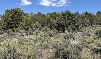 Medicine Mountain Drive 1, Beatty, OR 97621