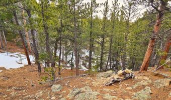 12190 Highway 7, Allenspark, CO 80510