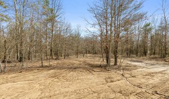 919 Armintrout Ridge Ct, Allegan, MI 49010