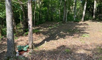 12568 N US Hwy 127, Albany, KY 42602