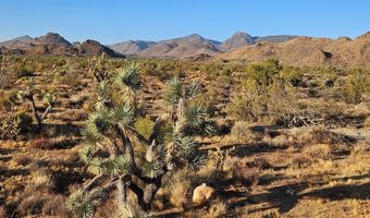 2624 S Gold Mine Rd, Yucca, AZ 86438