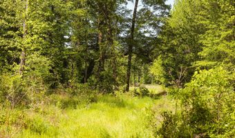 Beech Bluff Road, Beech Bluff, TN 38313
