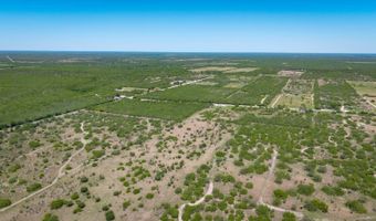 FM 735, Alice, TX 78332