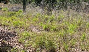 131 BONITA Pkwy, Babson Park, FL 33827