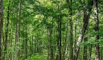 2926 Bryant Ridge Rd, Baxter, TN 38544