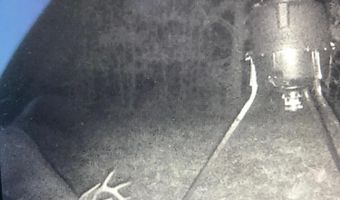 001 Farr Rd, Bolton, MS 39041