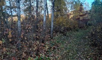 31538 County 23, Akeley, MN 56433