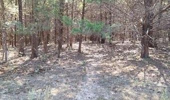 County Road 3665, Allen, OK 74825
