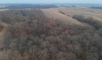 197 Th Trl, Albia, IA 52531