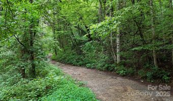 Killdevil Hill Lane unit 9 & 10 9 & 10, Bat Cave, NC 28792