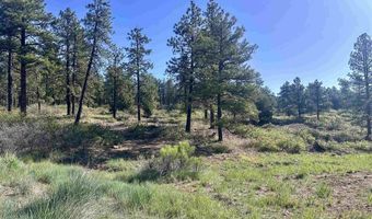 782 Hawks Meadow Dr, Bayfield, CO 81122