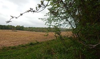 15250 27 Mile Rd, Albion, MI 49224
